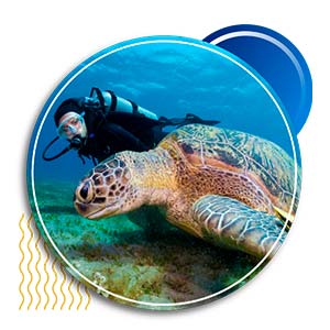 dive resort in montego bay - excursions