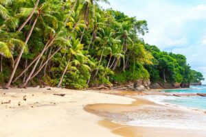 dive resorts in the dominican republic - main