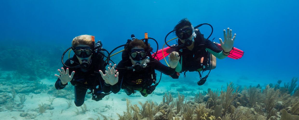 DIVEMASTER JOBS & Careers with Dressel Divers