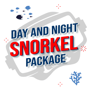 Day and Night Snorkel Package