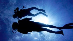 Difference between Snorkeling and Scuba Diving - 2 divers