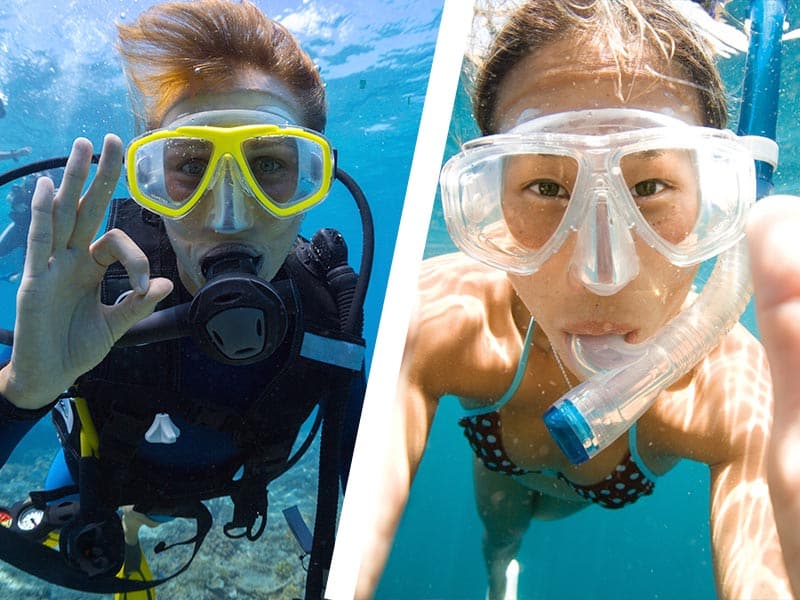 Difference between Snorkeling and Scuba Diving (2) diferencia entre esnórquel y buceo