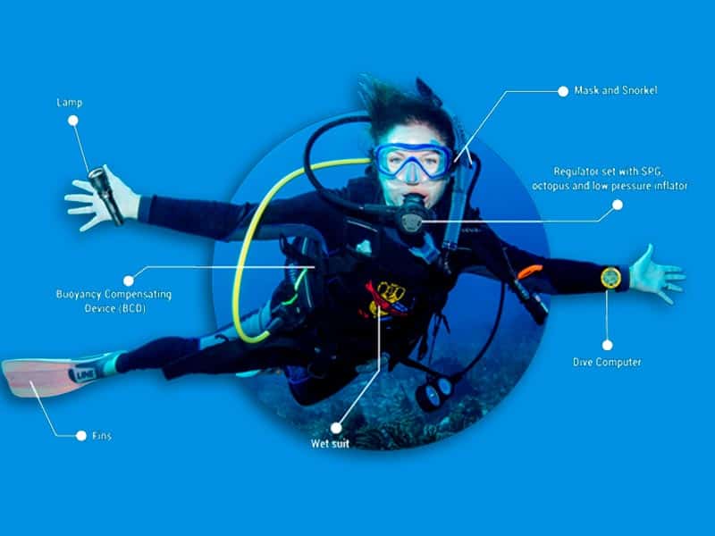 Difference between Snorkeling and Scuba Diving (3)