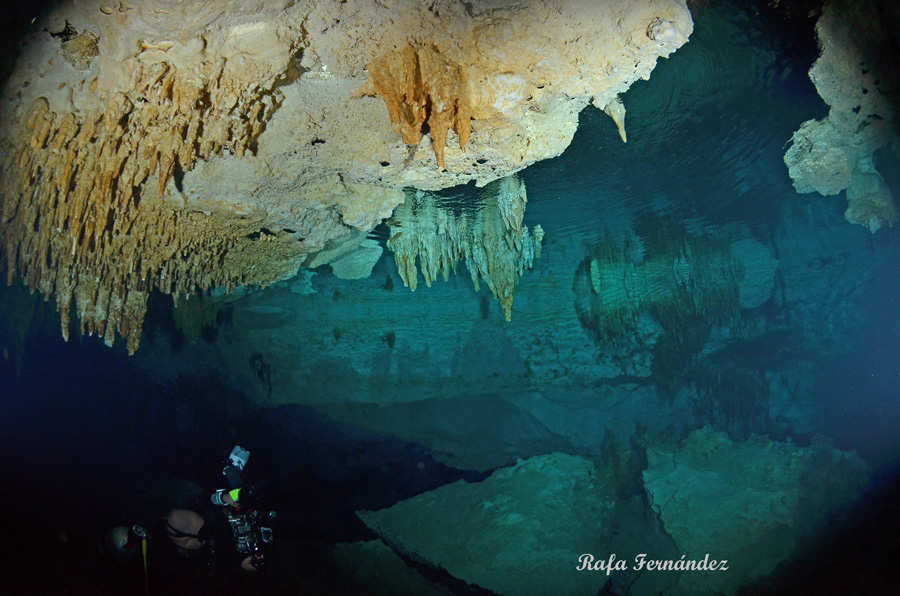 Differences Between Halocline And Thermocline - 2