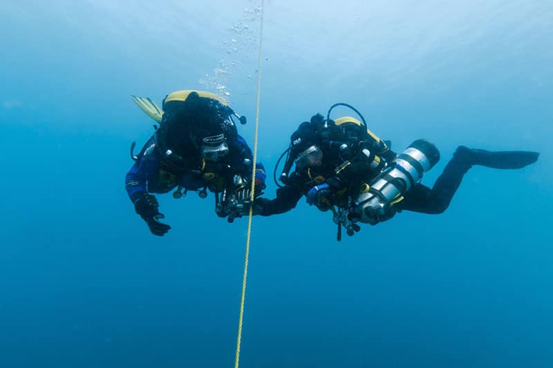 Dive Gloves - guantes de buceo