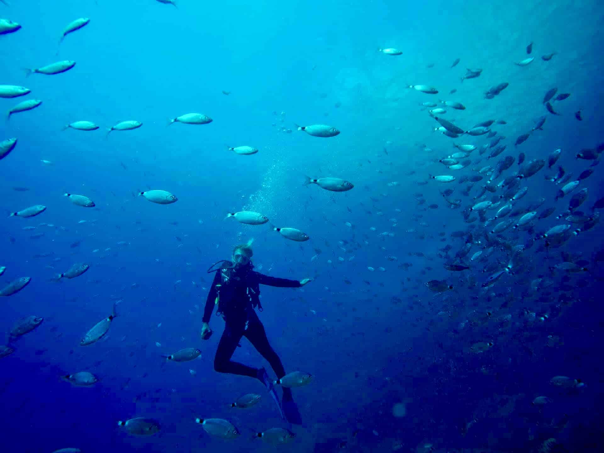 Dive Instructor in Dressel Divers Bayahibe - Diving