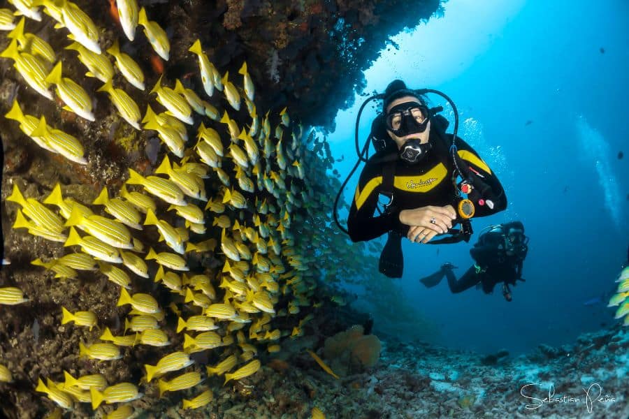 Dive planning - plan de buceo 5