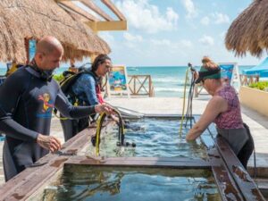Dive resorts mexico - main