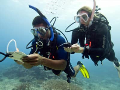 Divemaster Internship 1 (1) becas de Divemaster