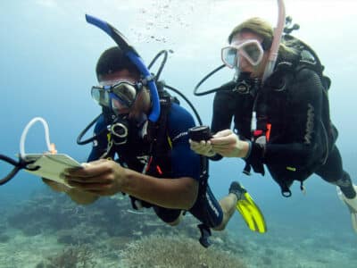 Divemaster Internship 1 (1)