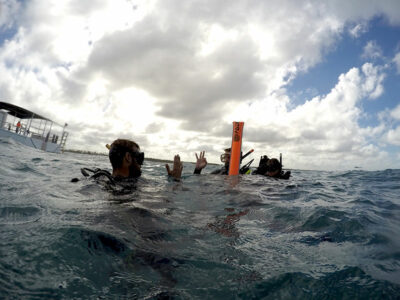 Divemaster Internship (2) becas de Divemaster