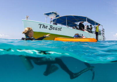 Divemaster employment - trabajar como Guía de buceo