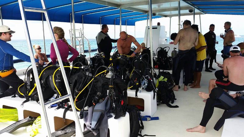 Divemaster Jobs & Careers With Dressel Divers