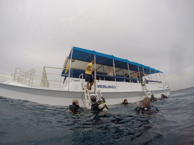 Divemaster Jobs & Careers With Dressel Divers