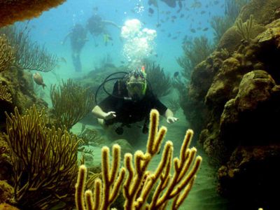 carriere divemaster