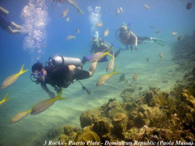 Empleo divemaster