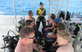 Diver's Day 1