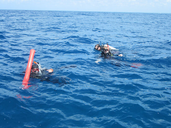 Divers Day water