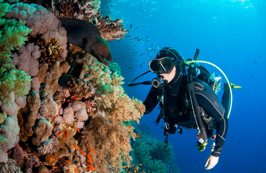 Divers Decompression - descompresión en el buceo - 2