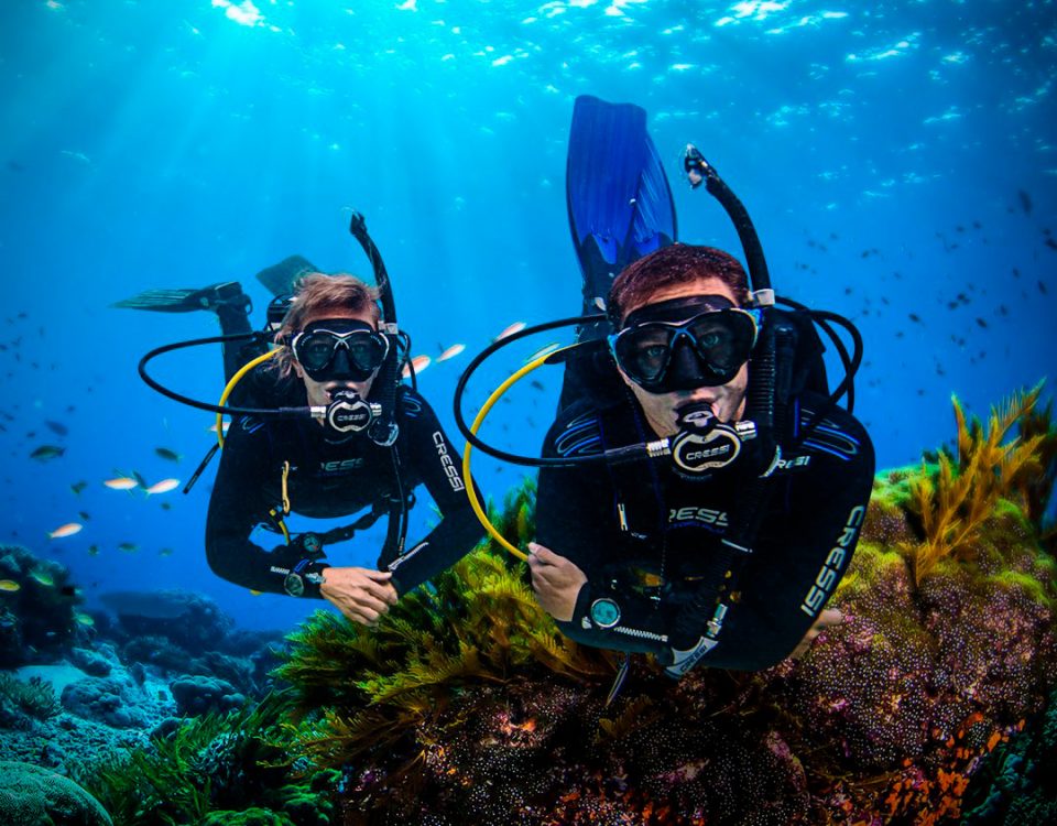 Divers Decompression - descompresión en el buceo - 5