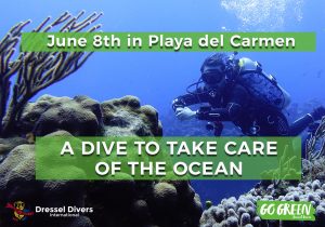 Go Green Will Celebrate World Oceans Day In Playa del Carmen With A Dive To Take Care Of The Ocean.