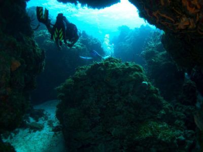 empleo instructores de buceo