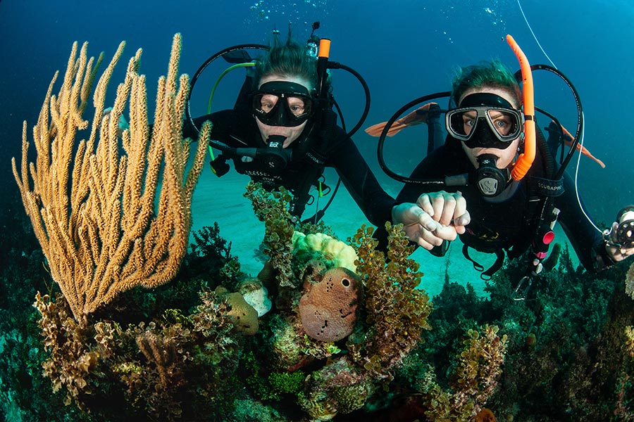 Diving Medicine (3) medicina de buceo