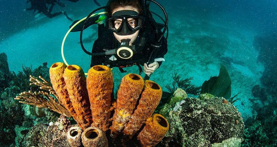 Diving Medicine (5) medicina de buceo