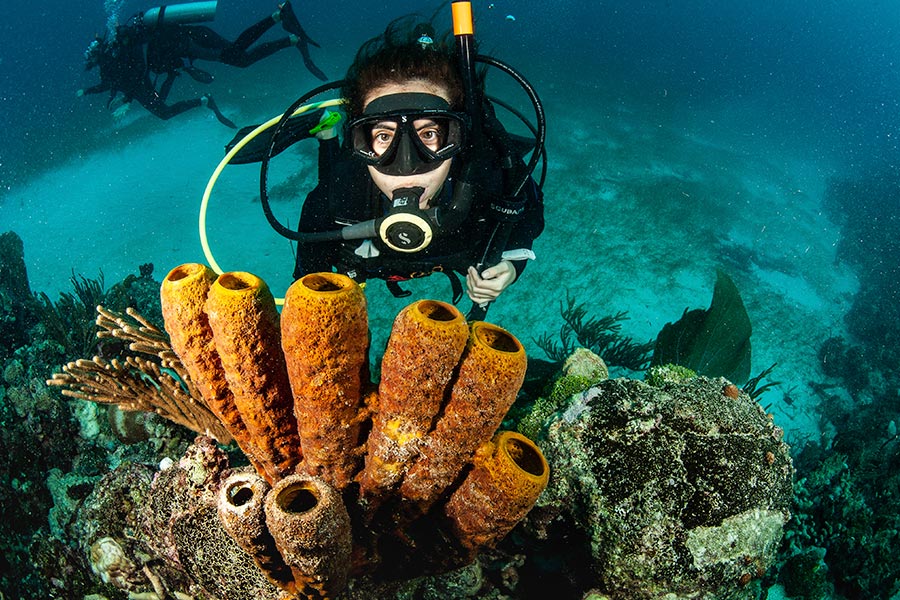 Diving Medicine (5) medicina de buceo