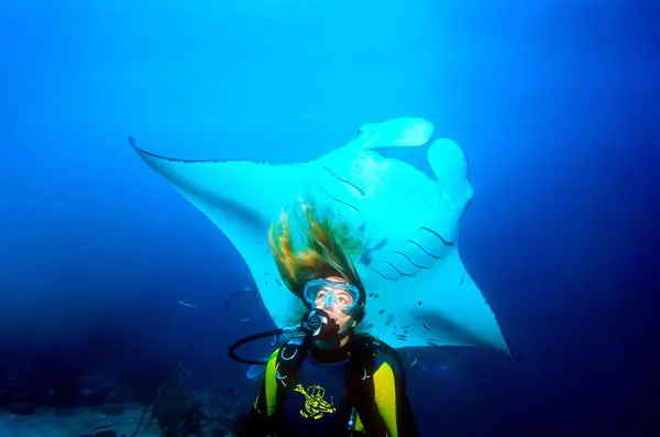 Diving-in-Puerto-Vallarta-Mexico