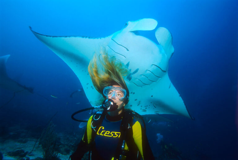 12 Diving Instructions You Shouldn't Dressel Divers