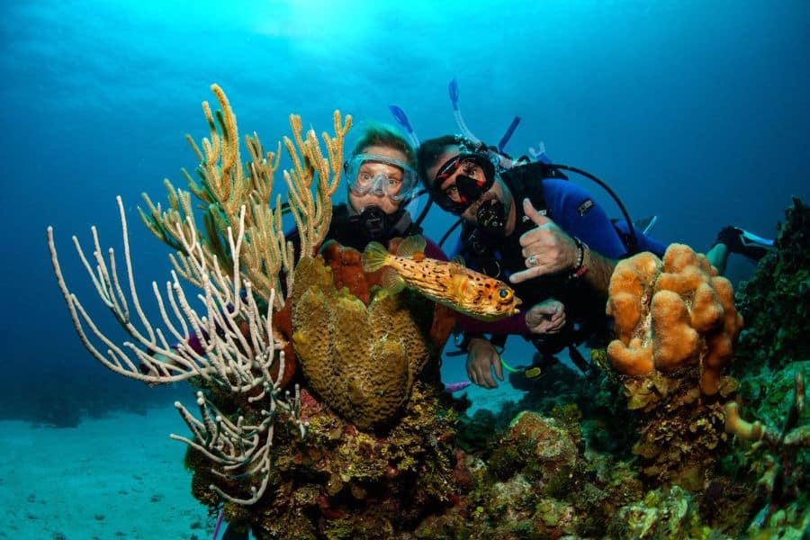 Diving time - Tiempo de buceo (3)