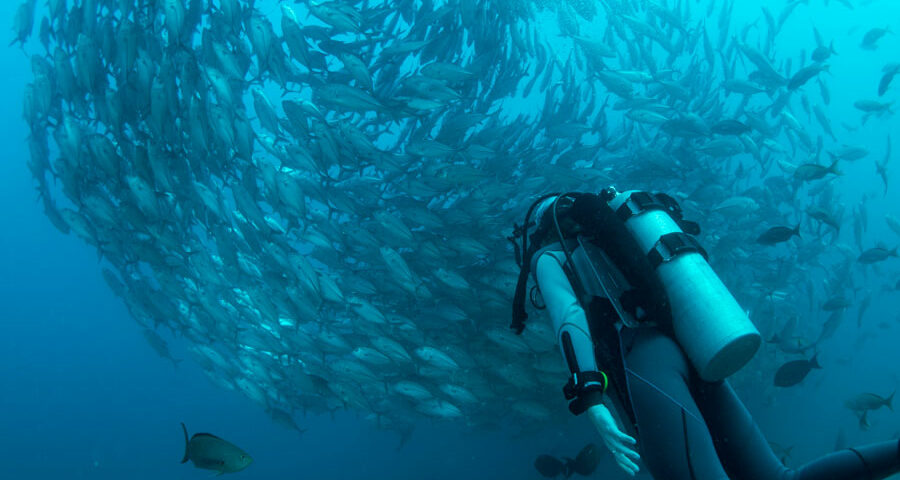 Do You Have to Know How to Swim to Scuba Dive - 1 - Tienes que saber nadar para bucear