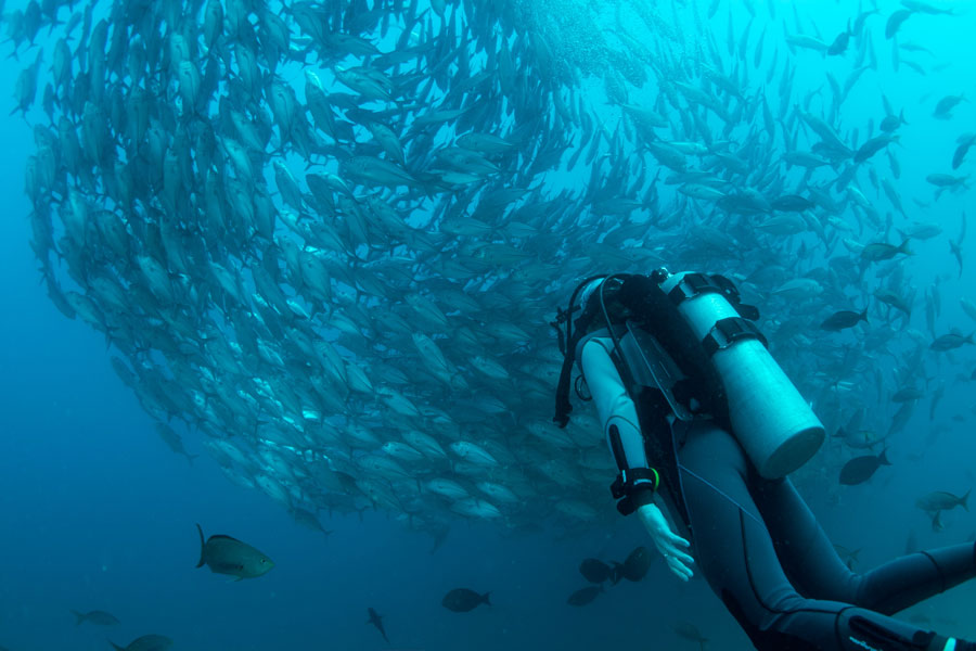 Do You Have to Know How to Swim to Scuba Dive - 1 - Tienes que saber nadar para bucear