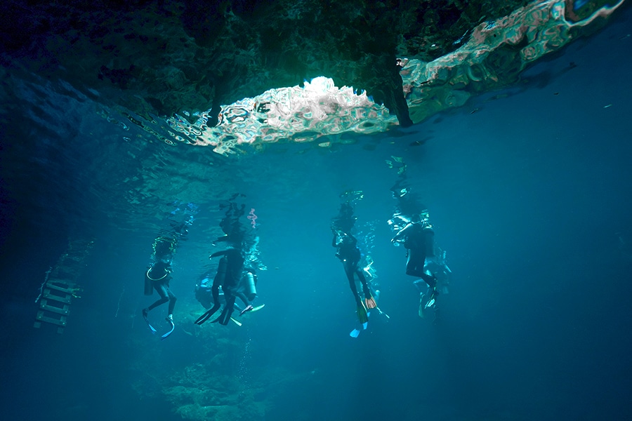 Dos ojos cenote Dome