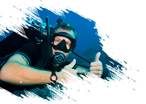 dressel divers - online discounts