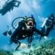 Fear of Scuba Diving - miedo al buceo
