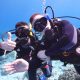 Find a Dive Buddy with Dressels