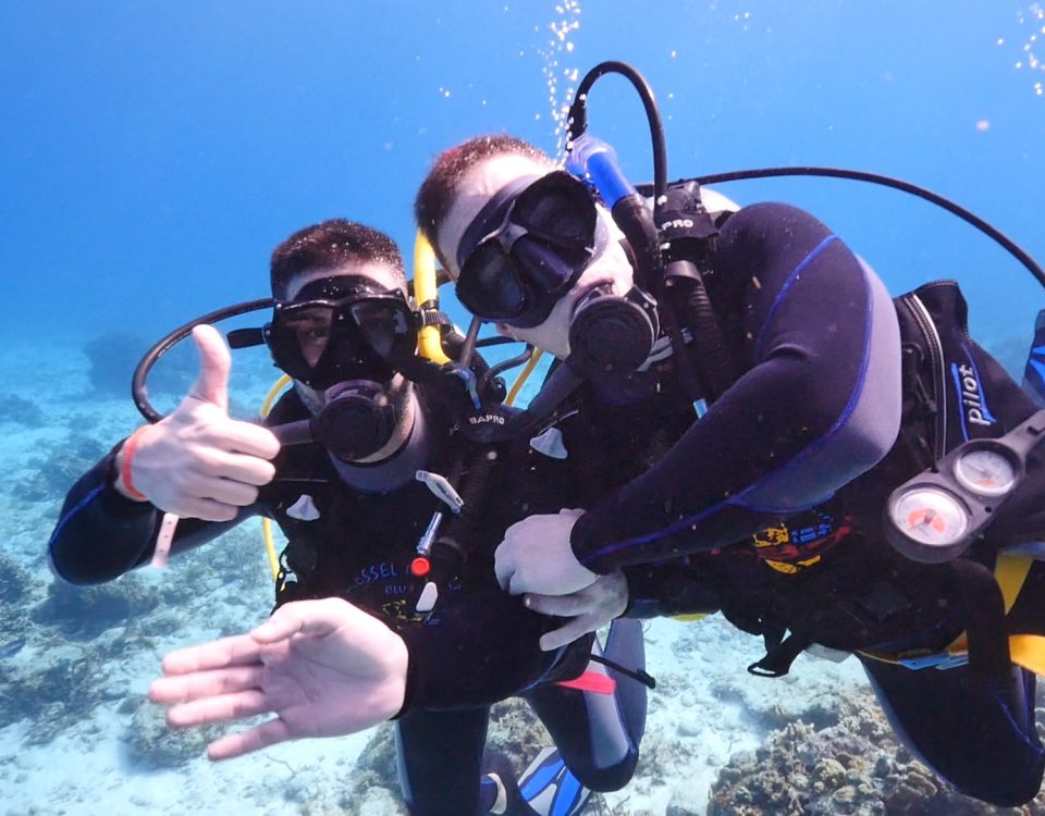 Find a Dive Buddy with Dressels