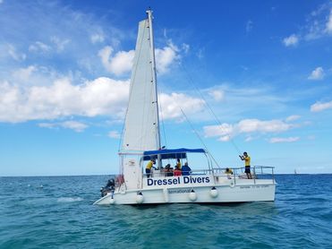 Catamaran Tour In Punta Cana - Catamaran