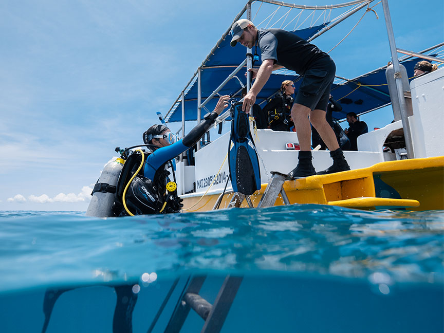 From PADI elearning to SDI elearning