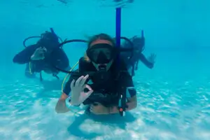 Gainful PADI Internship