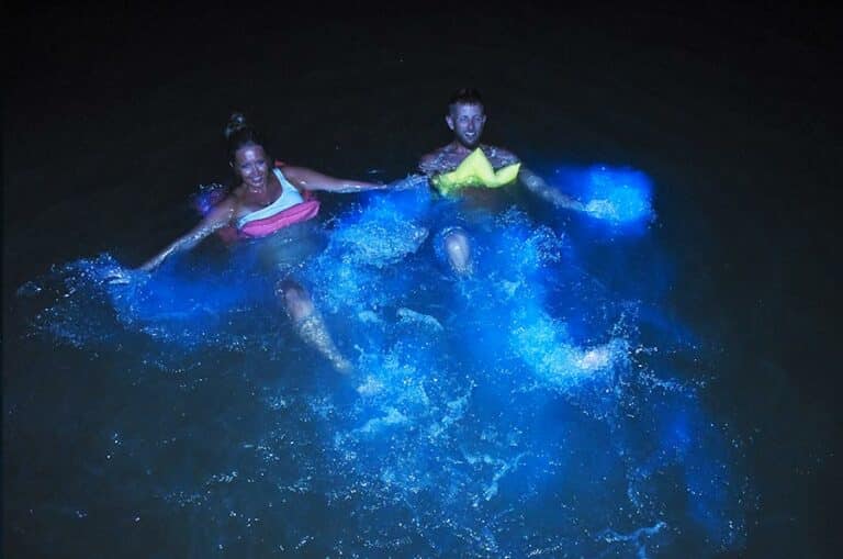 Glistening Waters In Jamaica Dressel Divers