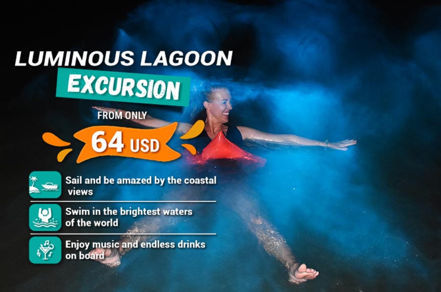 Glistening Waters In Jamaica Dressel Divers