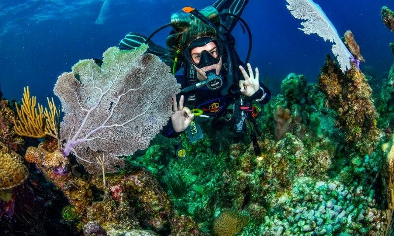 How does scuba work (11) como funciona el buceo