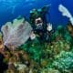 How does scuba work (11)