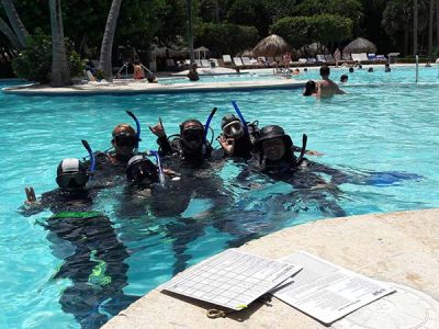 IDC Dressel Divers 4