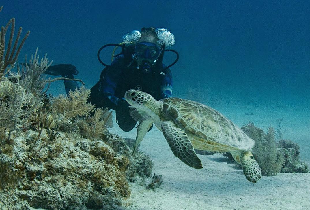 Elena Puerto Aventuras and turtle