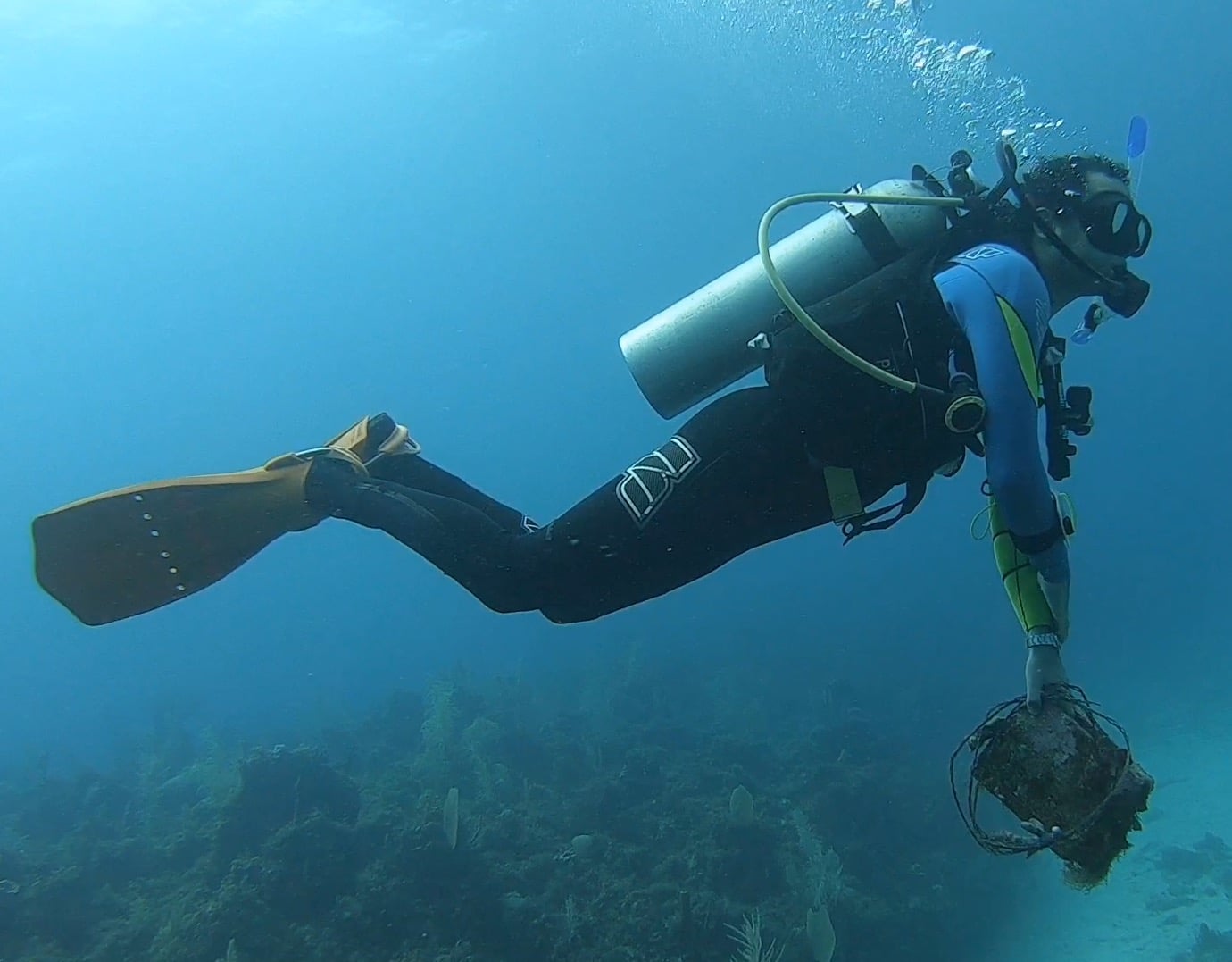 Plastic Pollution Removed from Jamaican Sea Bed - under water