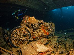 Liveaboard-Diving - Red Sea